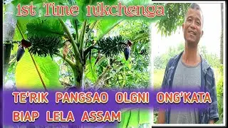 TE'RIK BOL PANGSAO OLGNI ONG'KATA  II VLOG HAIMO