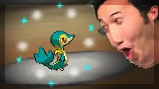 Shiny Snivy Reclaim after 22202 SRs! [Black FTQ #1]