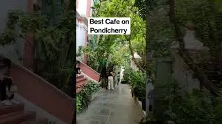Best Cafe in Pondicherry | Whitetown