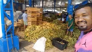 CONHE&Ccedil;A a FEIRA da BANANA / CENTRO HIST&Oacute;RICO DE MANAUS/ custo baixo