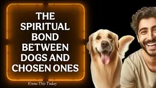 15 Reasons Why Dogs Are Mysteriously Drawn to Chosen Ones &ndash; The Truth Will Shock You!