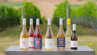 2025 Taste of Nova Scotia Awards - Beausoleil Farmstead Vinous Ciders Product of the Year
