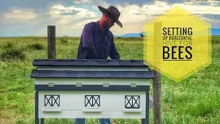 🐝 Setting Up a Horizontal Hive for Bees! Complete Hive Tour + Mite Strips & Sugar Water