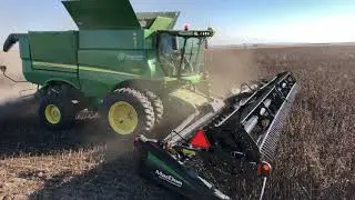 Snowbrid Faba Bean Harvest 2018