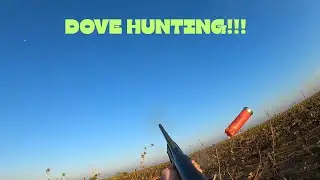 Second season of dove hunting!!!!!! (They're flying crazy!!!)