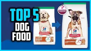 ✅Top 5 Best Dog Foods For Belgian Malinois in 2025