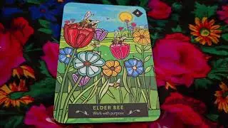 Tap Into Wild Wisdom/| Animal Oracle Card Messages