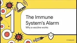 Immune System Master Switch
