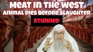Eating meat in the west where animal may die before slaughter cuz of stunning #Assim assim al hakeem