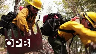 A Very Risky Wildfire Season&mdash;Postcards From The Pandemic