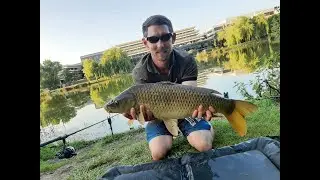 How to catch carp / Hints and Tips Carp Fishing at Lakeside