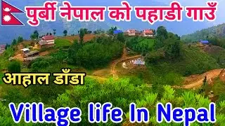 पुर्बी नेपाल को पहाडी गाउँ || Hilly Village in Eastern Nepal || Eastern Part Of Nepal Village life