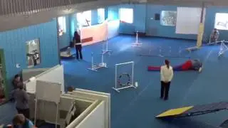 Teacup Dog Agility ....third run of the day
