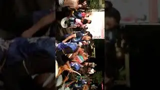 🎶🎶 Sai vedika musical group 🎶🎶