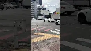 #shorts #shortvideo #japan #japanvlog #viral #japanese  #travel #shortsfeed #japanview