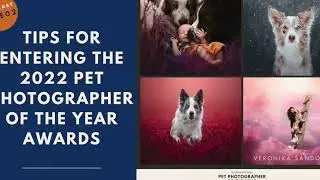 Season 12 Episode  02 | The Pet Photographers Club | Tips for selecting images for the Awards