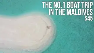 We Found The Best Boat Trip in the Maldives - $45