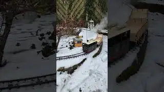 #gardenrailway #train #trainspotting #modeltrains #lgb #railway #railroad #gartenbahn #Echtdampf