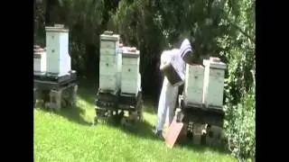 Silence at Assumption Abbey Richardton ND