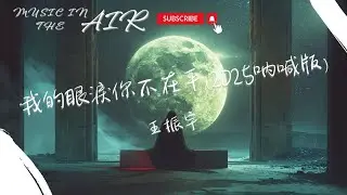 王振宇 - 我的眼淚你不在乎(2025呐喊版)『黑夜漫漫 卻漫不過孤獨』【動態歌詞】