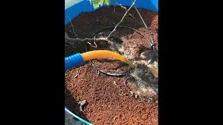 Automated Kitchen Waste - Management System for Your Home