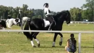Kladruby National Studfarm 30.6.2012-Mimi and Romana Hajkova