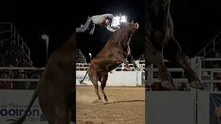 Rodeo Disaster! 🤠 Bull Attack Turns Deadly in the Arena 💥