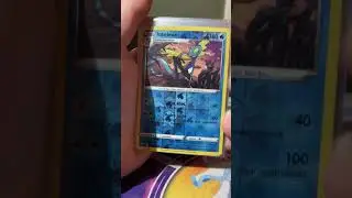 My *HOLO RARE* Sword & Shield Pok&eacute;mon Cards Collection! (Part 2)