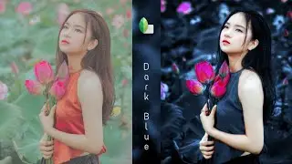Dark Blue Effect | Snapseed Editing | Colour Editing Tutorial
