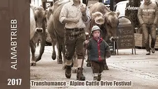 Almabtrieb / Alpine Cattle Drive Festival (16.09.2017)