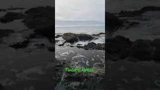 Oregon Coast - Thor's Well
