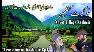 We stand with the brave people of Kashmir who proudly say || Pakistan is our country.