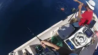 Bocas negras XL jigging azores 