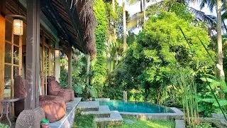 One of the Top Ubud-Villas - Ubud Property