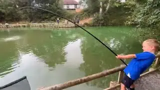 Kids Carp fishing at Hawkhurst Fisheries #fishingvideosforkids #fishingvideos