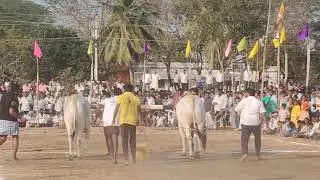 3 జత ఘంటశాల- 2026  || 2 పల్లా విభాగం ||మాగులూరి వెంకటసుబ్బారెడ్డి Memorial (లవ &కుష )
