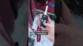 Your car lock is freezing. Spray IT on him