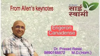 My Experiences with Erigeron Canadensis...