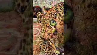 Visiones del Felino Hambriento | Visions of the Hungry Cat #shorts  #illusion #animals  #horademimir