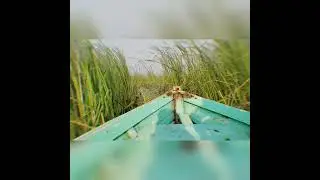 &ldquo;Sometimes, you don&rsquo;t need to go far to find another world.