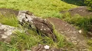 Avenger cruise, Vaishali / vysali view point, Idukki
