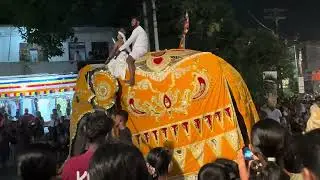 කැළණිය ⁣පන්සල දේවදූත පෙරහැර 2026 Kelaniya Temple Dewadutha Perahera 2026 