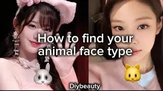 How To Find Your Animal Face Type #howto #animals #cute #aesthetic #girl #aestheticgirl #youtube