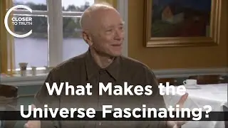 David Finkelstein - What Makes the Universe Fascinating?
