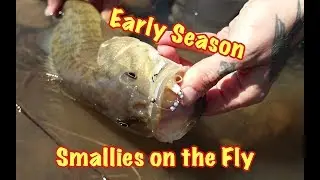How to Fly Fish for Smallmouth Bass in Late Winter and Early Spring
