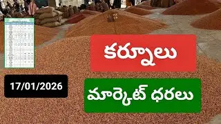 17/01/2026 కర్నూలు మార్కెట్ ధరలు today kurnool market rates prices redgram kamdhulu onion mirchi 