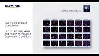 Well Plate Navigator Series - Part 3: Grouping Wells & Assigning Individual Observation Conditions