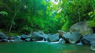 Forest Creek After Thunder &ndash; Fresh White Noise for Renewal & Peace