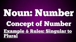 The Noun : Number || Examples and rules for changing the Number of a Noun (Singular to Plural)