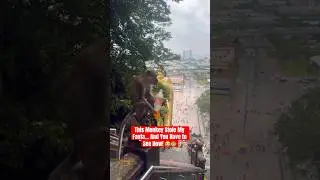 Monkey Enjoying Fanta at Batu Caves 😱🐒 #batucaves #malaysia